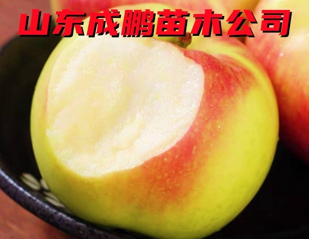 水蜜桃蘋果