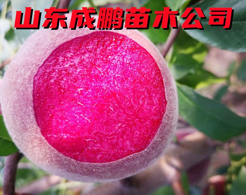 貴妃血桃